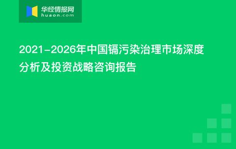2021-2026年中國鎘污染治理市場深度分析及投資戰(zhàn)略咨詢報告