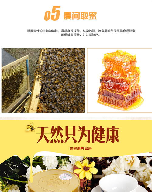 王巢 茶花蜂蜜 百花蜂蜜 組合裝 實惠裝 500克 2瓶